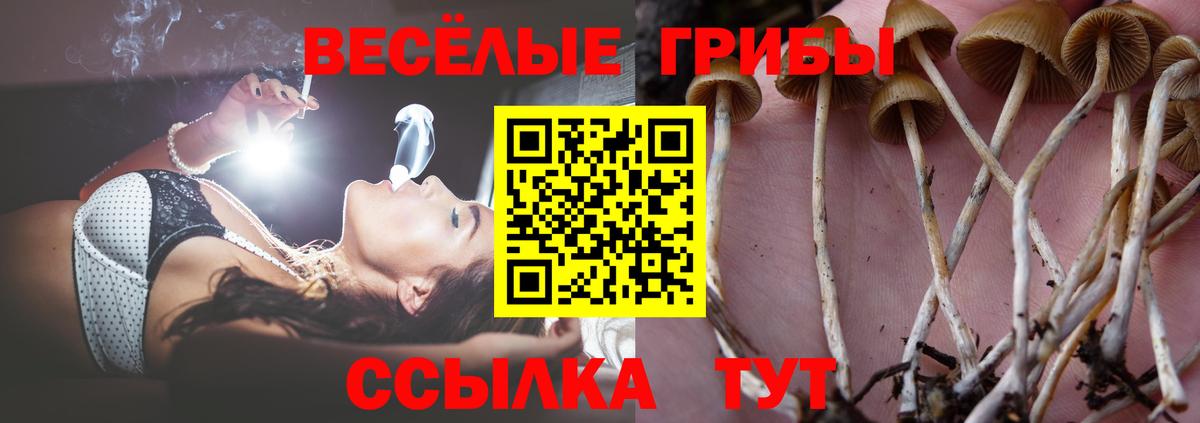 Галлюциногенные грибы прущие грибы  Псилоцибиновые грибы GOLDEN TEACHER  Вход с VPN  Великий Устюг 