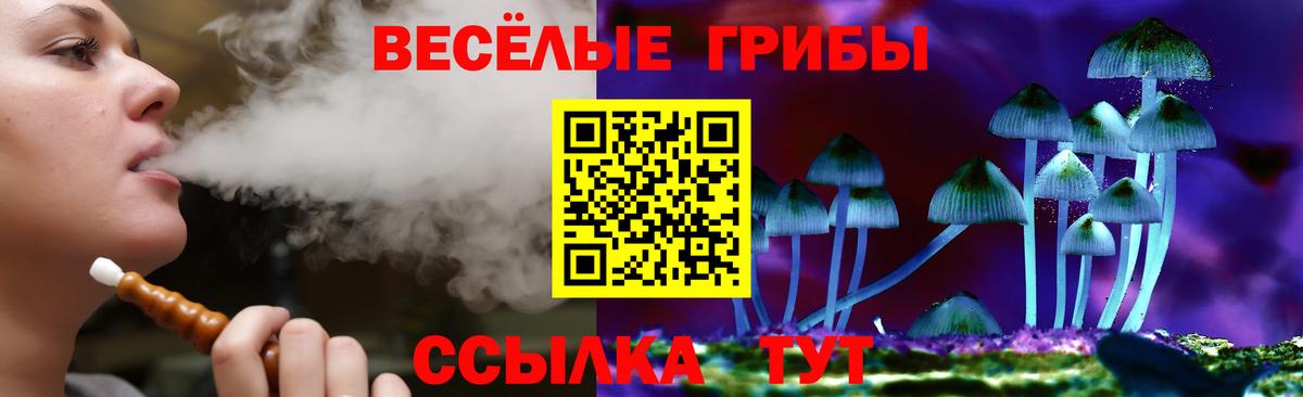 Галлюциногенные грибы Cubensis Великий Устюг